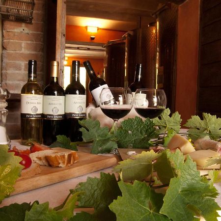 Agriturismo Pieve Sprenna Buonconvento Εξωτερικό φωτογραφία