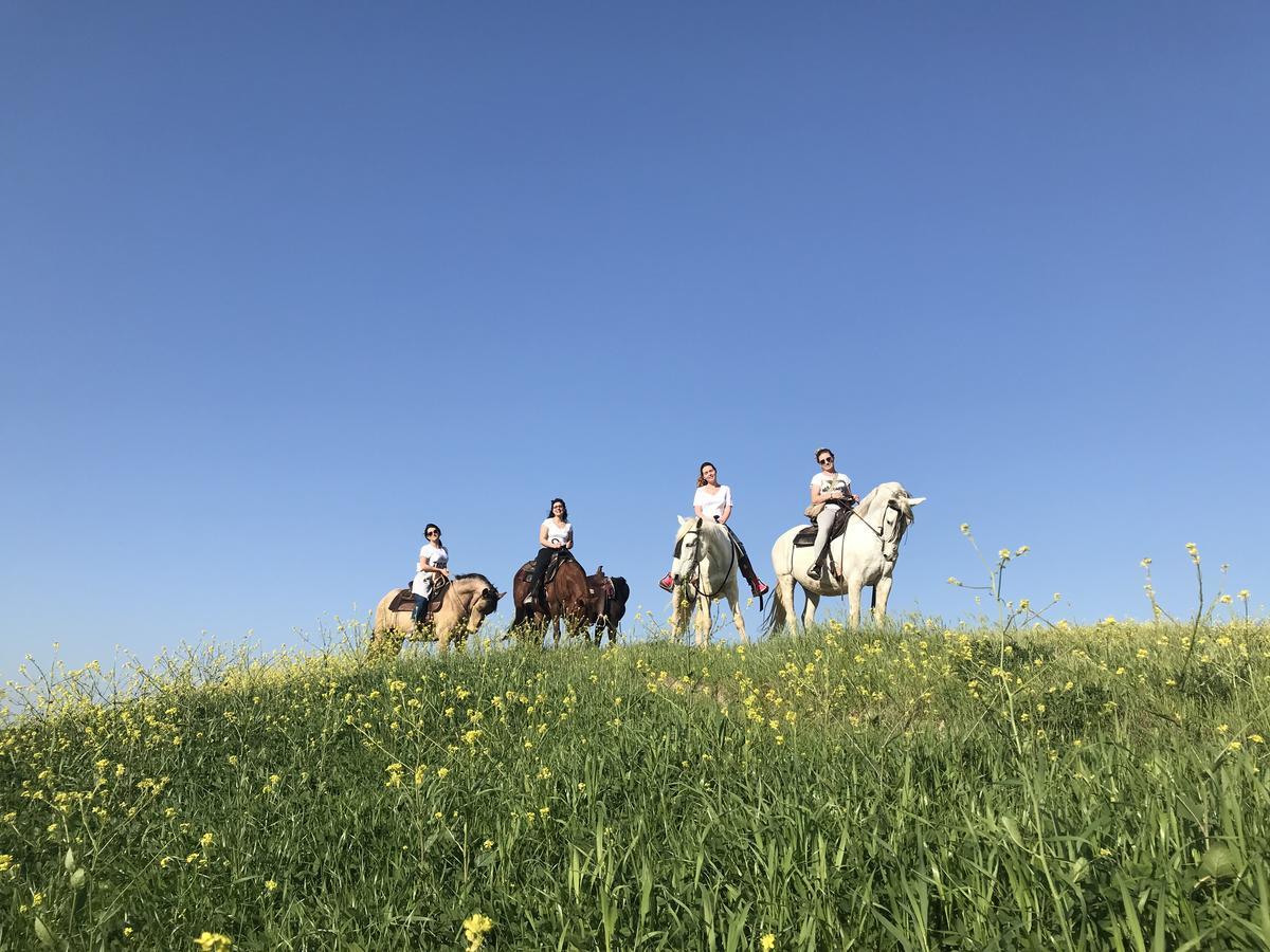 Agriturismo Pieve Sprenna Buonconvento Εξωτερικό φωτογραφία