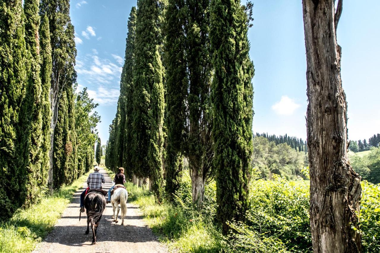 Agriturismo Pieve Sprenna Buonconvento Εξωτερικό φωτογραφία