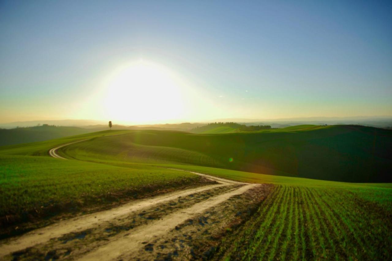 Agriturismo Pieve Sprenna Buonconvento Εξωτερικό φωτογραφία